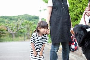 ペット輸送の安心ガイド：信頼できるサービス選びとストレスフリーな移動方法